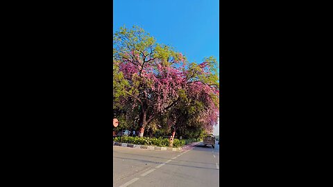 jaipur JLN MARG