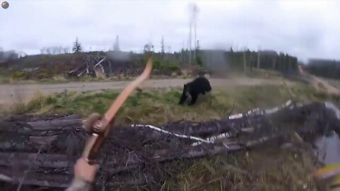 Wypadki i inne przypadki (3) film dokumentalny LEKTOR PL