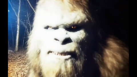 SHOCKING Gill Ford Bigfoot TRESPASSER CAM! 9 ft' Sasquatch BUMPs Tree, SEES Camera Glare[WASHINGTON]