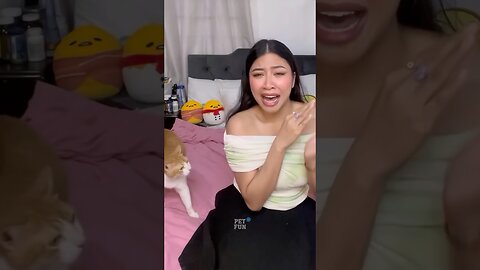 Funny Animals Compilation #funnyanimals #animals #pets #shorts