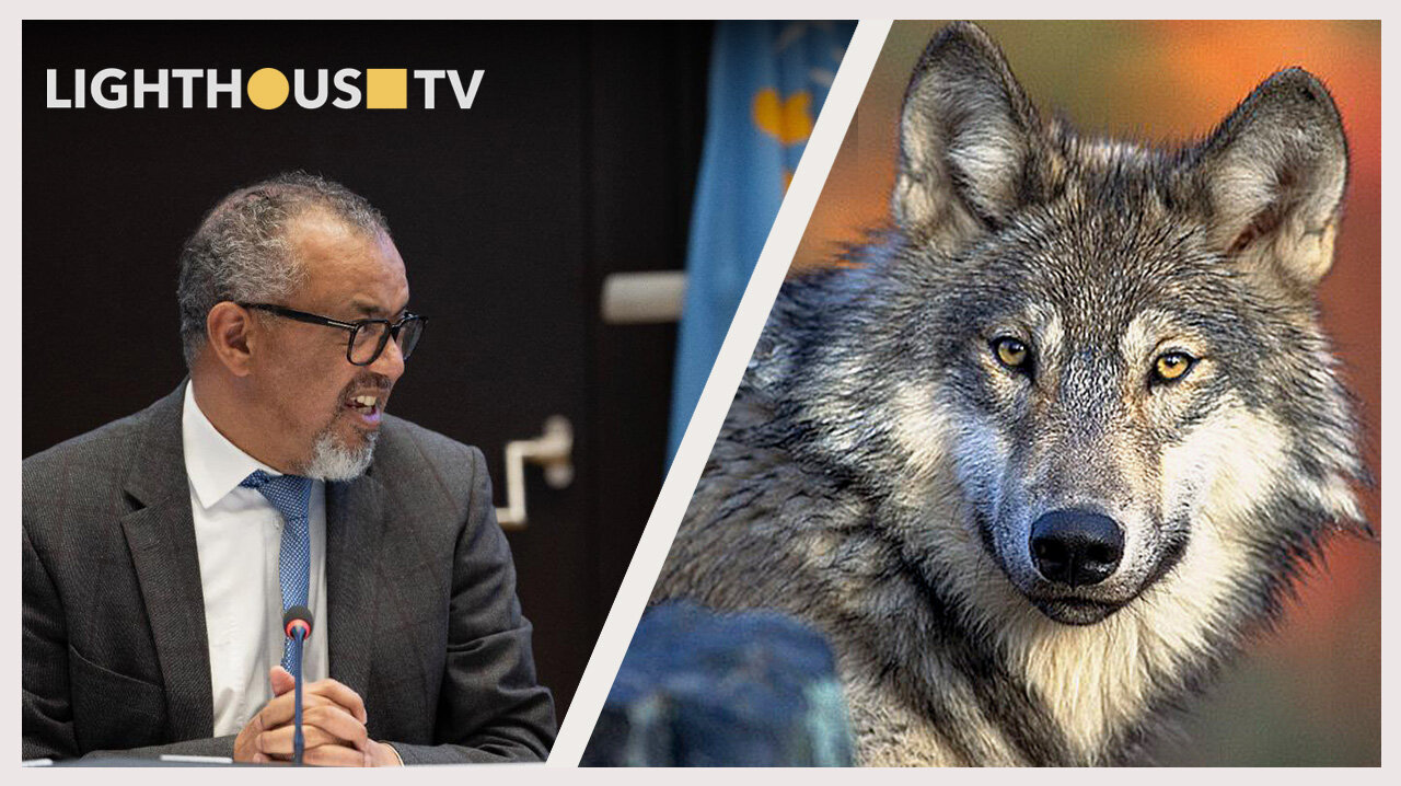 LightHouseTV #8: Pandemieverdrag akkoord | Politie negeert Woo | Einde wolfbescherming?