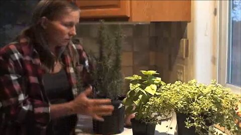 Instant Master Gardener #3: The POWER of Herbs