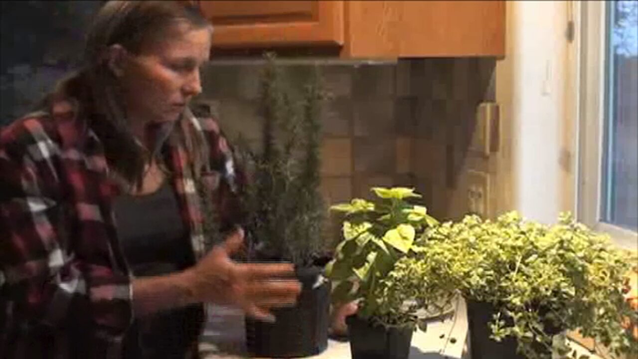 Instant Master Gardener #3: The POWER of Herbs