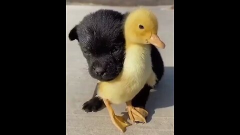 Cute couple