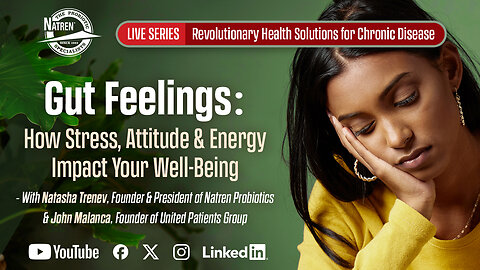 Gut Feelings: How Stress, Attitude & Energy Impact Your Well-Being