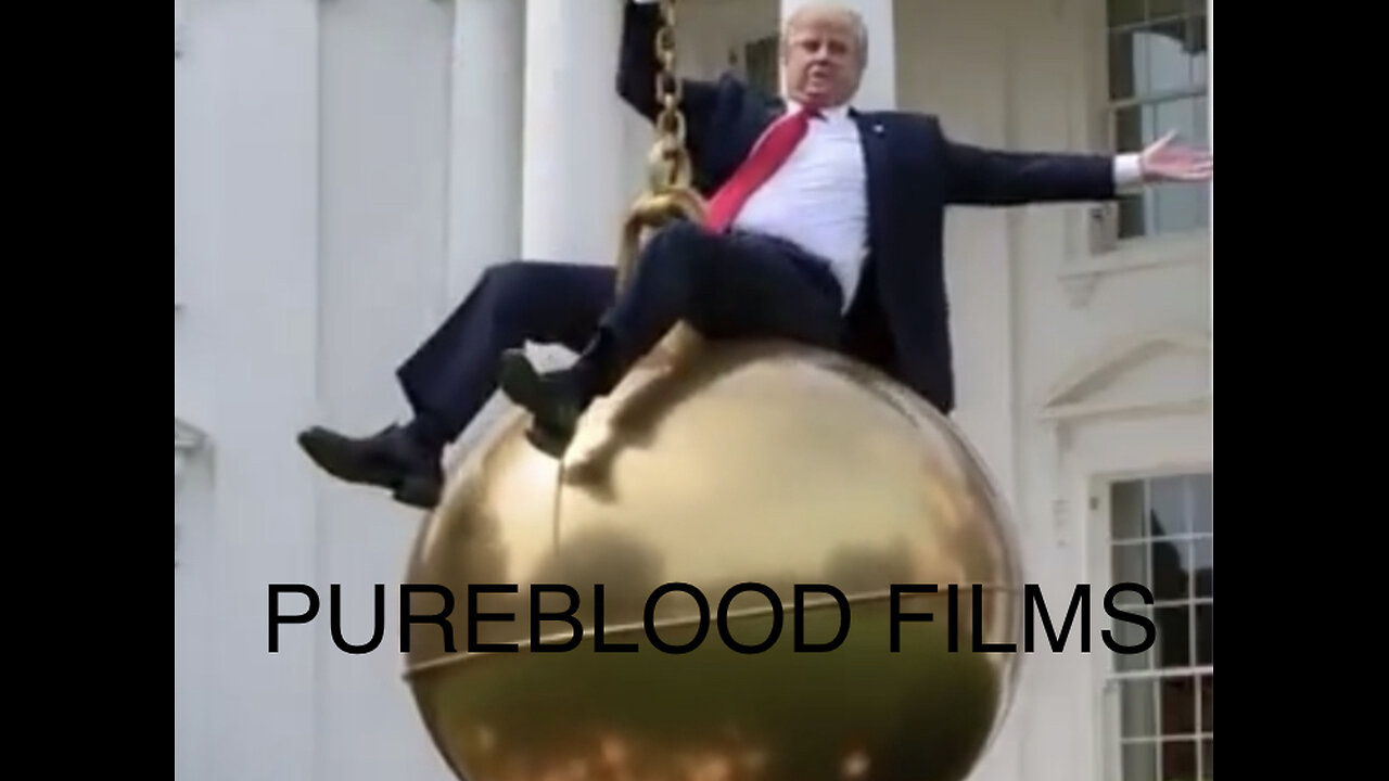 THE BALLROOM BLITZ - PUREBLOOD FILMS