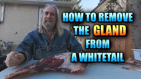 Deer Hunters: Don’t Skip This Step! Removing the Leg Gland to Prevent Tainted Meat