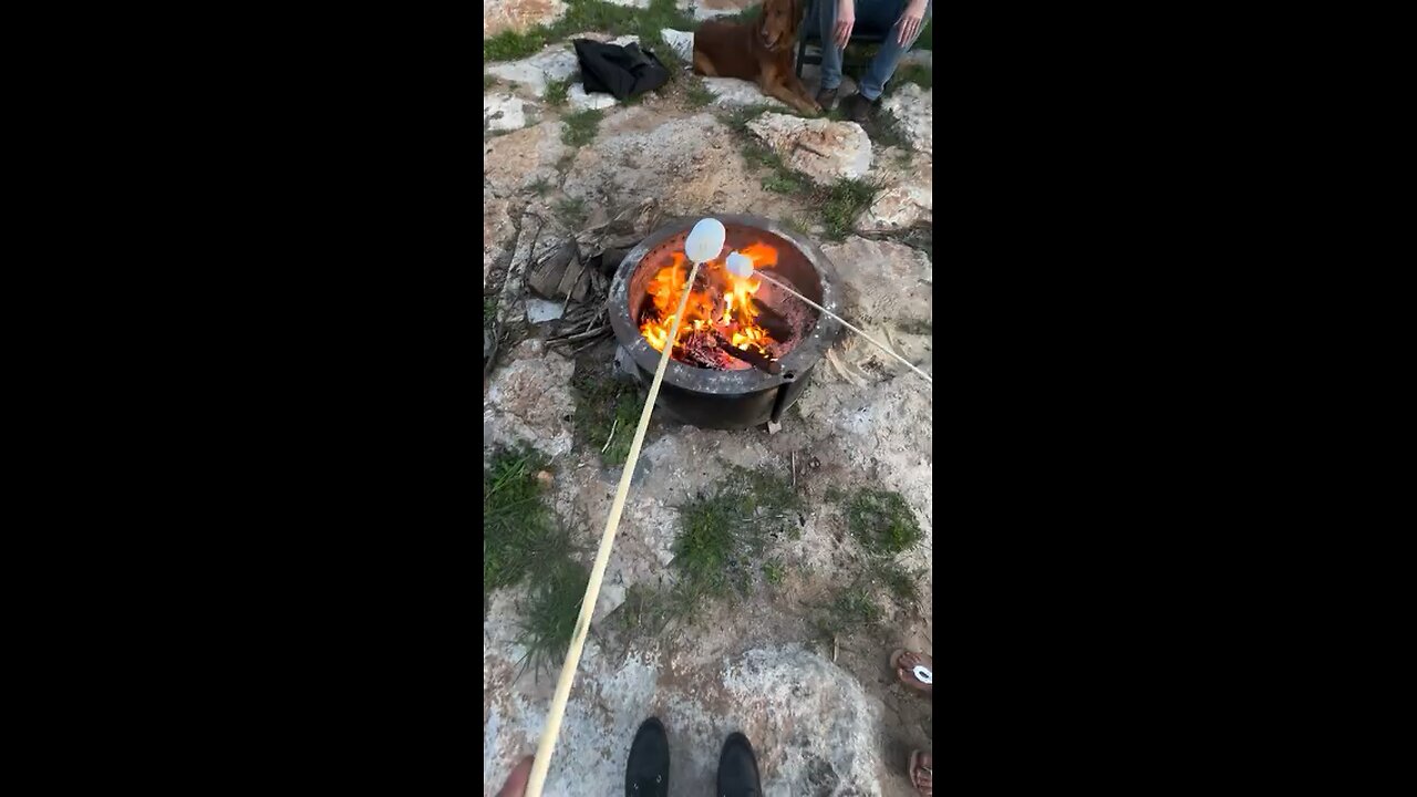 Roasting marshmallows