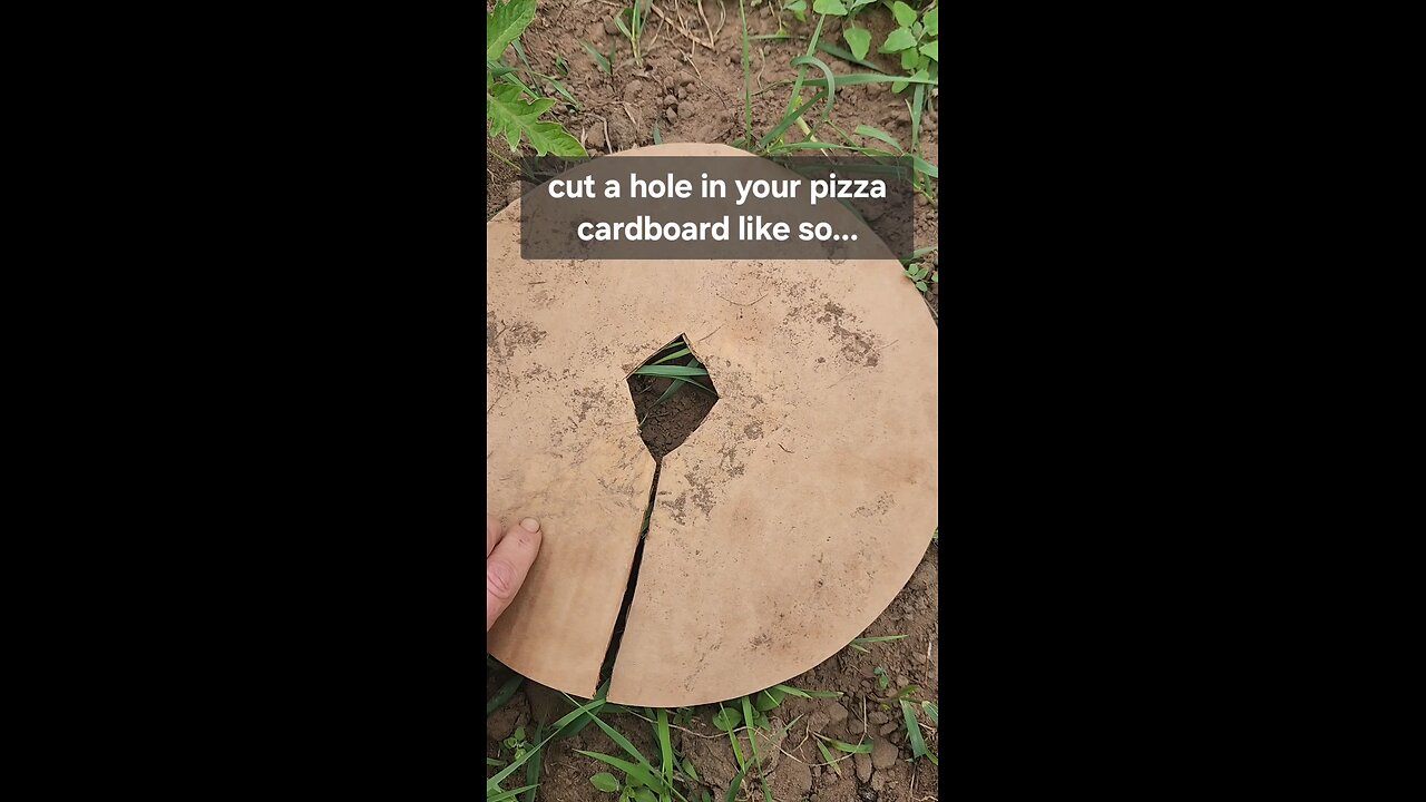 Garden hack