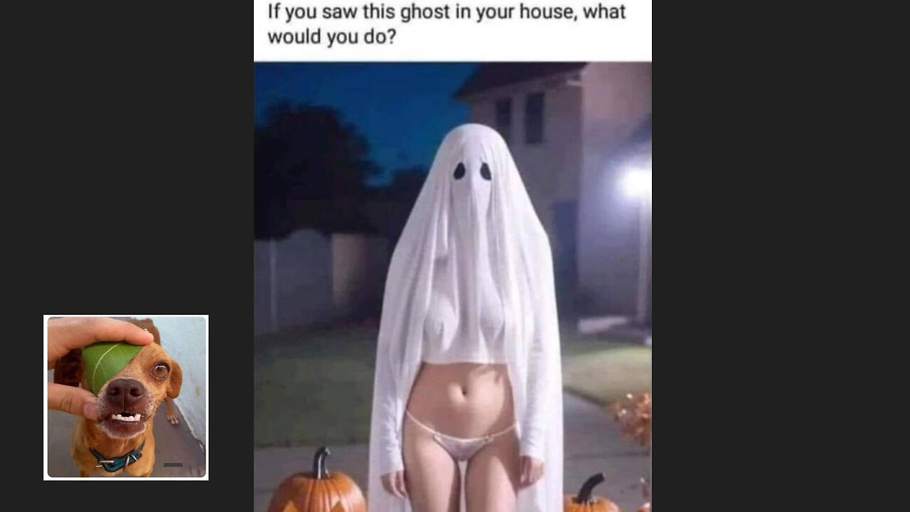 Memes That Will 99.0167% Make You Laugh. (e391)