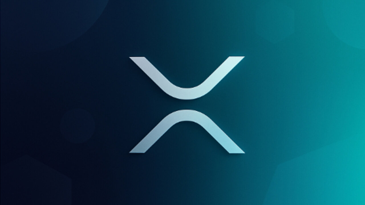 XRP RICH LIST !!!!