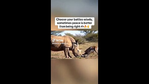 Choose peace over violence 🤣🤣🤣😂🔥