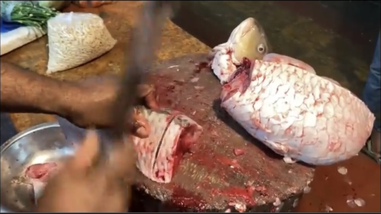 Amazing Cutting Skills || Big Carp Fish Cleaning & Cutting By Expert Fish Cutter