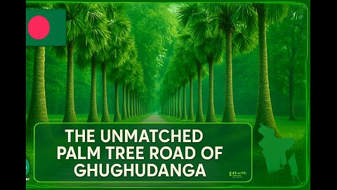 This might be the best video of your life!! A Dreamland Under the Shade of Palm Trees"♥️✅♥️ "