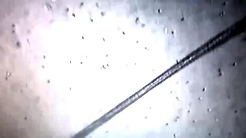 NANOBOTS FOUND IN SPERM 2 YEARS AFTER VAXX