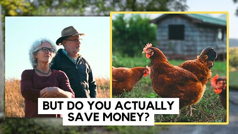 Does Homesteading ACTUALLY Save You Money? Shawn & Beth Dougherty
