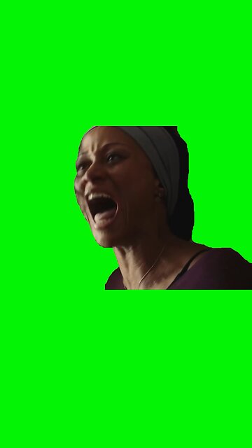 I Raised You | Green Screen #euphoria #pets #cats #dogs #funny #meme #memes #fyp