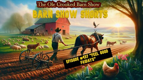 "Barn Show Shorts" Ep. #437 “Feel Good Fridays”