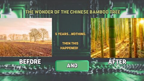 Nothing for 5 Years. Then BOOM — This Will Inspire You! 🌱 ⏳ 🚀