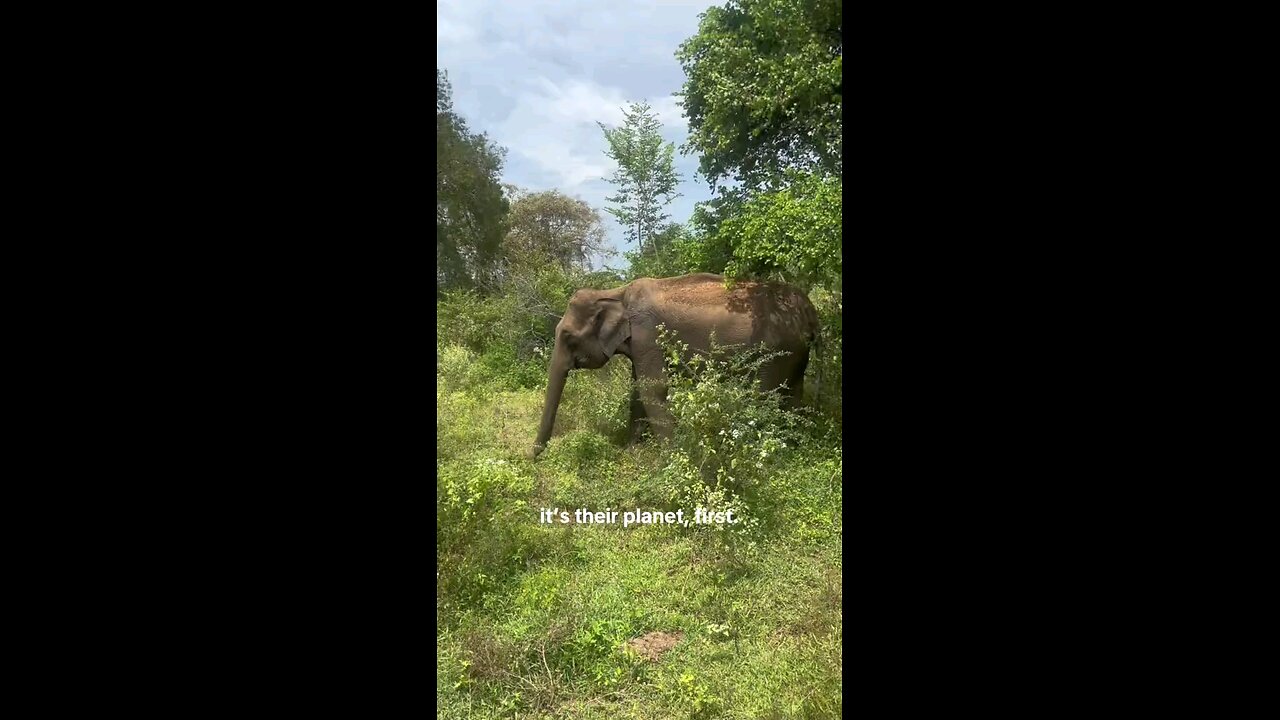 Welcome to Sri Lanka 🇱🇰