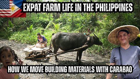 Expat Farm Life in the Philippines | Moving Supplies with Carabao (Water Buffalo)