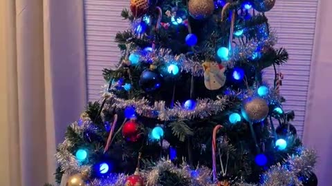 Where Are You Christmas 2025 Badraven