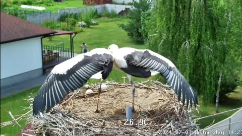 Beautiful synchronization 😀