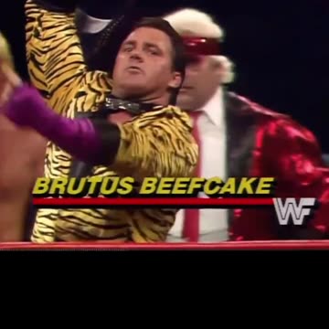 introduction of the dream team of Brutus beefcake & Greg valentine vs. British bulldogs