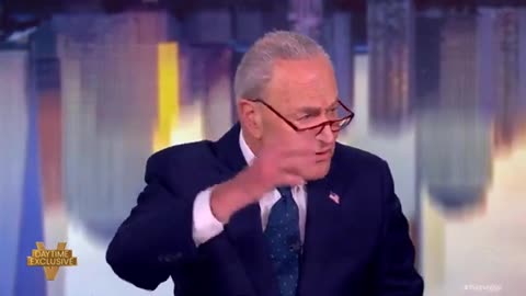 Schumer Blames Trump and Musk for His Sleepless Nights on The View