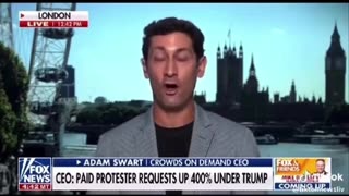 Politics - 2025 Fake Paid Off Protesters And Actors CEO of Crowd Explains How Much Paid Sick Fucks
