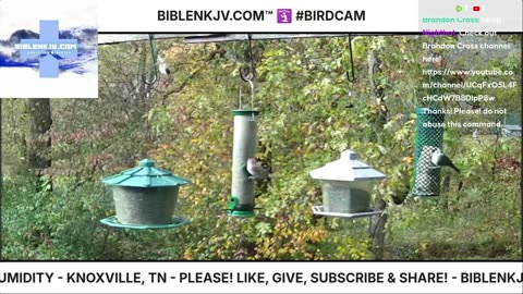 BIBLENKJV.COM™ 🛐 10/29/2025 #LIVE #BIRDCAM #WEATHER
