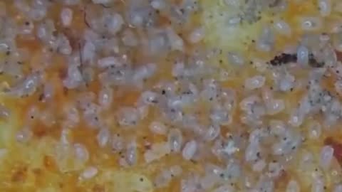 Will you eat another Dorito after watching this