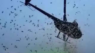 Arrojan dinero desde un helicóptero sobre Detroit para cumplir el último deseo de un hombre