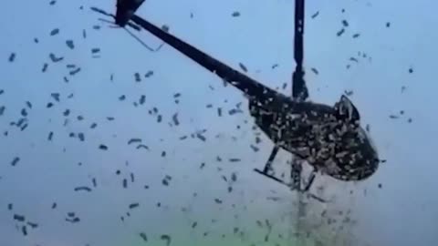 Arrojan dinero desde un helicóptero sobre Detroit para cumplir el último deseo de un hombre