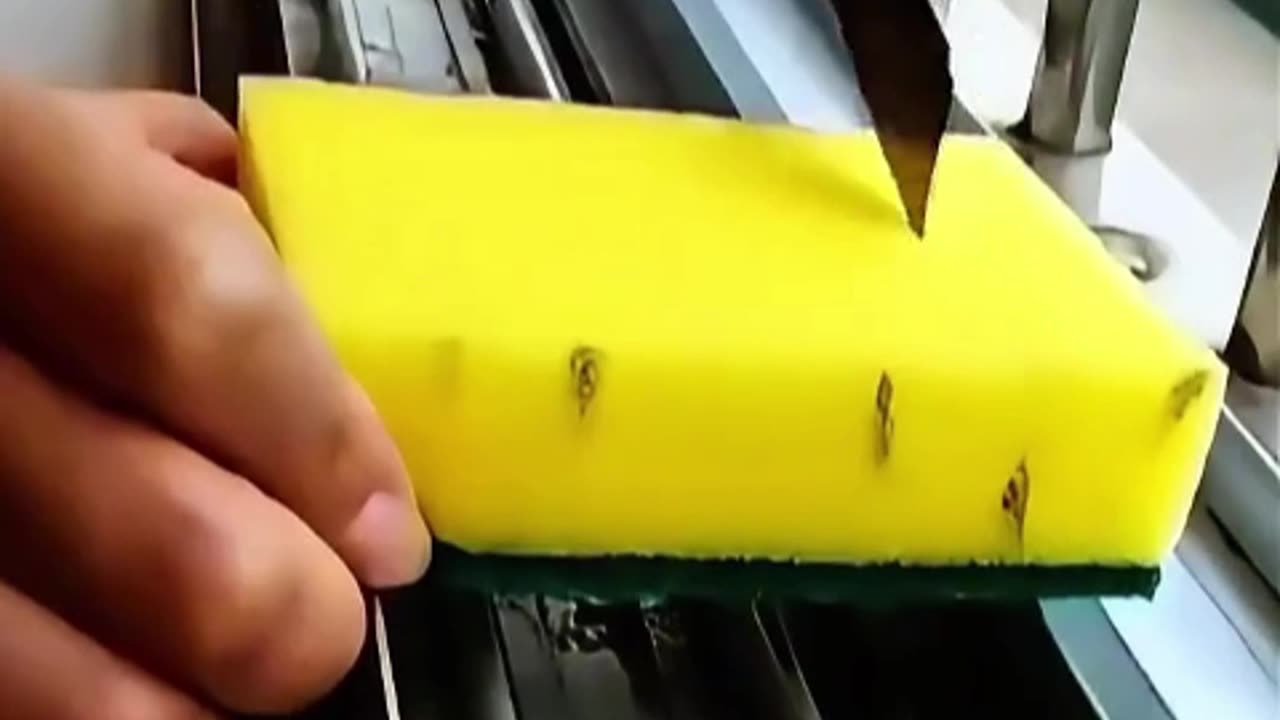 Amazing Life Hacks You Wish You Knew Sooner