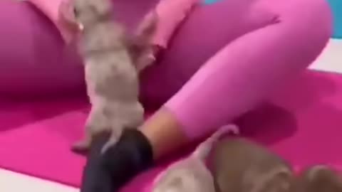 Puppy love