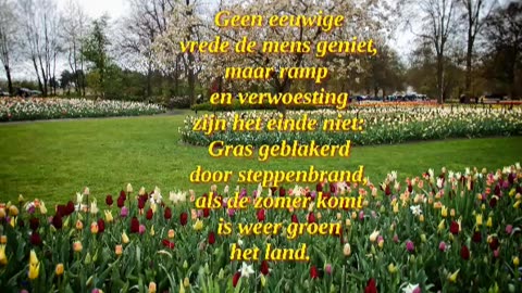 Als de zomer