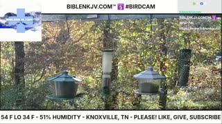 BIBLENKJV.COM™ 🛐 10/25/2025 #LIVE #BIRDCAM #WEATHER