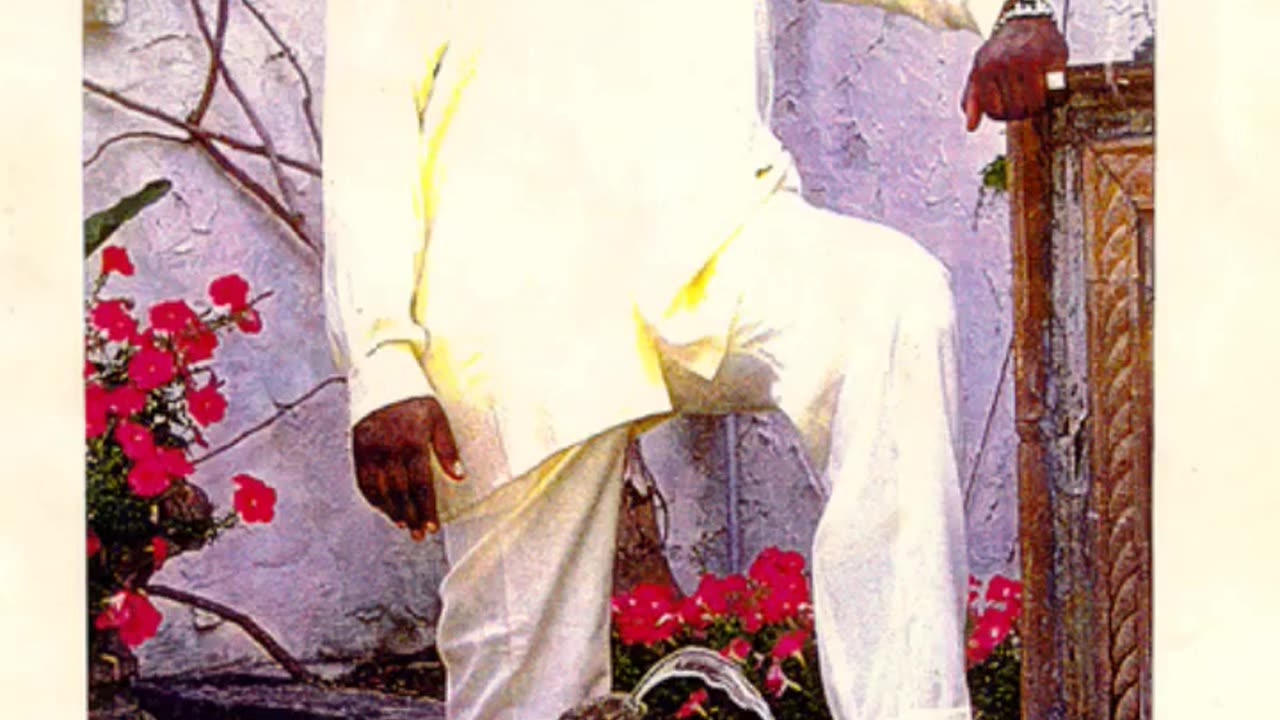 GUN LAWS IN ACTION - VOL. 558: THE MURDER OF FAT PAT