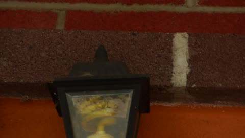 Yellow flourescent light again