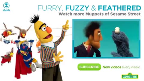Sesame Street: The Perfect Ball for a Cactus Super Grover 2.0