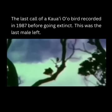 Build Wealth Smarter 💰🧠 | What’s the First Step?