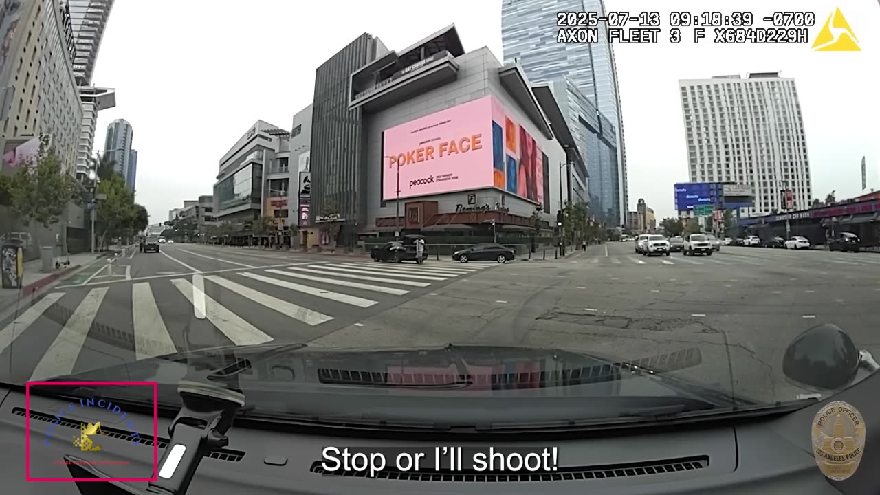 Man Wielding Machete Shot by Police in Los Angeles Intersection Chaos