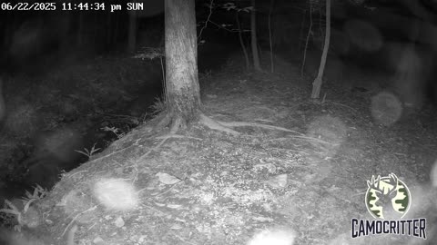 CamoCritter Critter Cam Live Stream