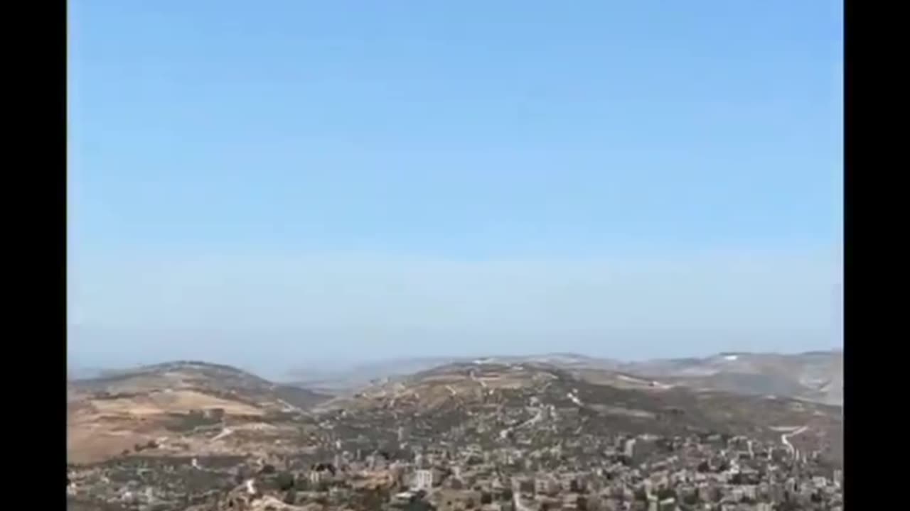 The shape of this tree is a lean usually formed by wind.