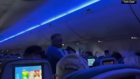 A Delta flight was delayed after two pigeons made their way into the plane