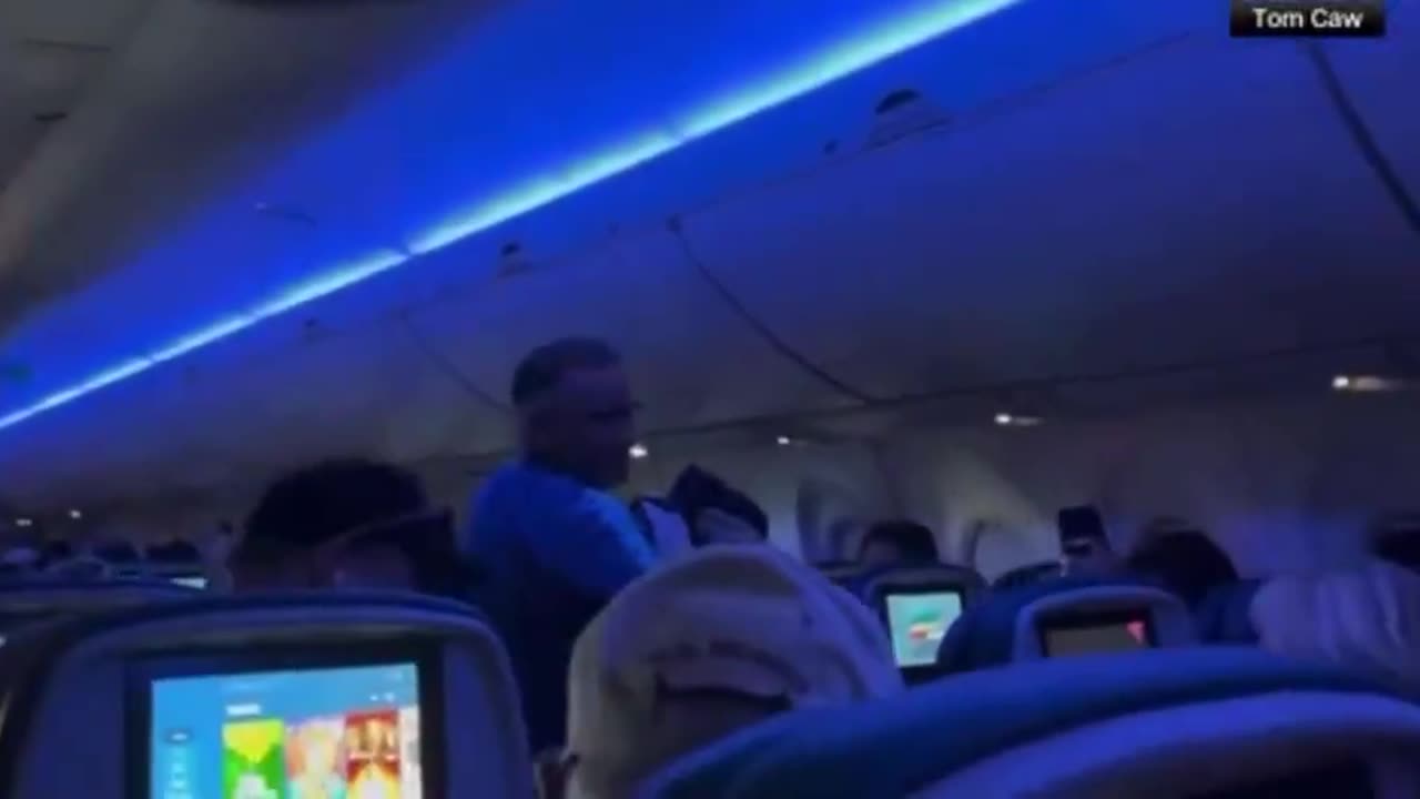 A Delta flight was delayed after two pigeons made their way into the plane