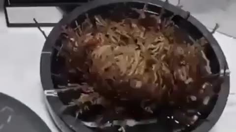 Resurrection plant?