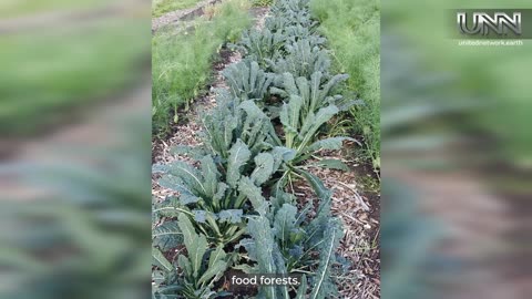 Sustainability meets community 🌱 Explore Belgium’s Grassroots Farm with Gisela. Watch now!