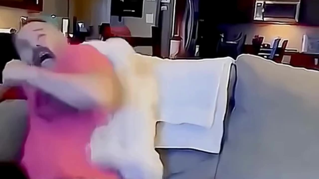 FUNNY ANIMAL COMPILATIONS - PART 17